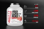Iso Whey 100%